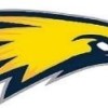 Doveton Eagles Logo