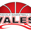 Vales Panthers(team withdrawn) Logo