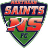 Northern Saints 1 Logo