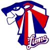 Central Districts Lions 6 Logo