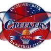 U12 Girls Diamond Creek 1 Logo