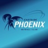 Eastside Phoenix White Logo