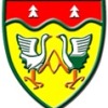 Melville High School Logo