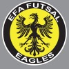 EFA Eagles  Logo