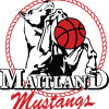 Maitland Mustangs U14 Girls Logo