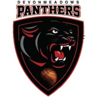 Panthers Black