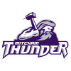FNJ B12 Mitcham Thunder 2 Logo