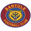 Banyule Logo