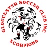 Gloucester Scorpions - SJ16 Logo