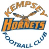 Hornets - NL Logo