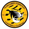 TF Tigers - O35 Logo