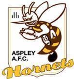 Aspley Hornets