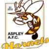 Aspley Hornets AFC Logo