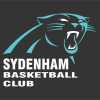 Sydenham Panthers 3 Logo