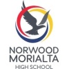 Norwood Intern'l High School Logo