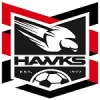 Holland Park Hawks  Logo
