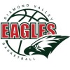 Diamond Valley Eagles Logo