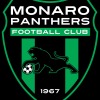 Monaro Panthers FC 14 Logo
