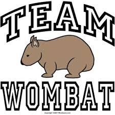 FICA Wombats Logo