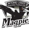 Wyong Lakes YG17 Logo