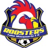 Lake Macquarie City FC Logo