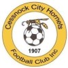 Cessnock City Hornets FC Logo