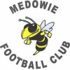 Medowie FC Logo