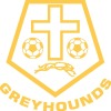 Greyhounds Silver Logo
