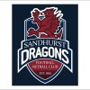 Sandhurst reserves Logo