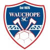 Wauchope SC Logo