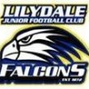 Lilydale U12s Logo