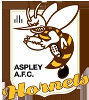 Aspley Hornets Over 45s