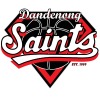 Saints G16 - Silver Logo