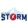 Storm Fire Logo