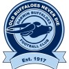 Buffaloes (Light Blue) Logo