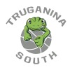 U16G TS Diamond Frogs Logo