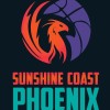 SC Phoenix Teal Logo