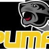 Puma 243 Logo