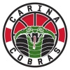 Carina Vipers Logo