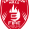 Endeavour Hills Fire SC Metro Logo