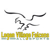 Logan Village Falcons U14 Division 5 Sth Logo
