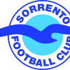 Sorrento FC Div 1 Logo