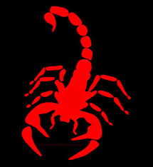 Gillen Scorpions FC STINGERS Logo