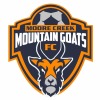 Moore Creek FC Blue Logo
