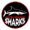 AMS ZEBRA SHARKS Logo