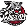 Alloyfold Canterbury Wildcats Logo