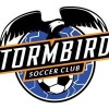 Stormbirds Orange Logo