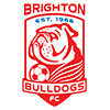 Brighton Bulldogs City 4 Blue