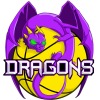 Yellow Dragons Logo