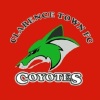Clarence Town FC O35/01-2018 Logo